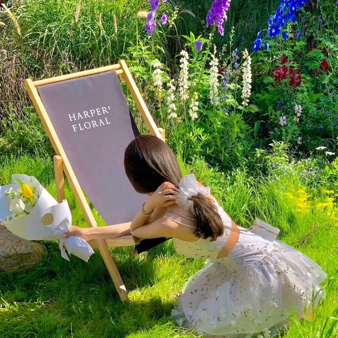 精灵幻想记第二季